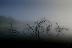 SehNebel - heute alles stark reduziert......