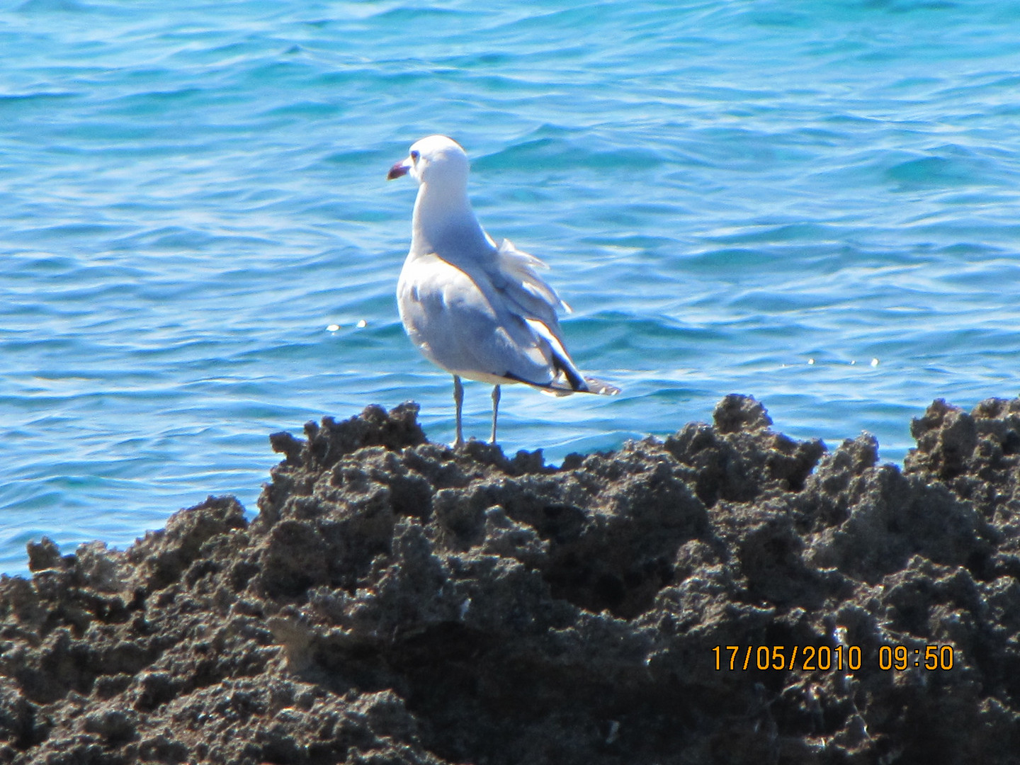 Sehnsucht am Meer