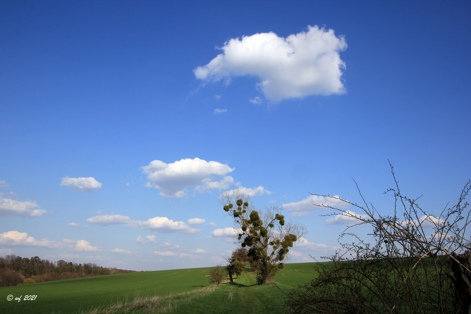 Sehnsucht BLAUER HIMMEL (2)