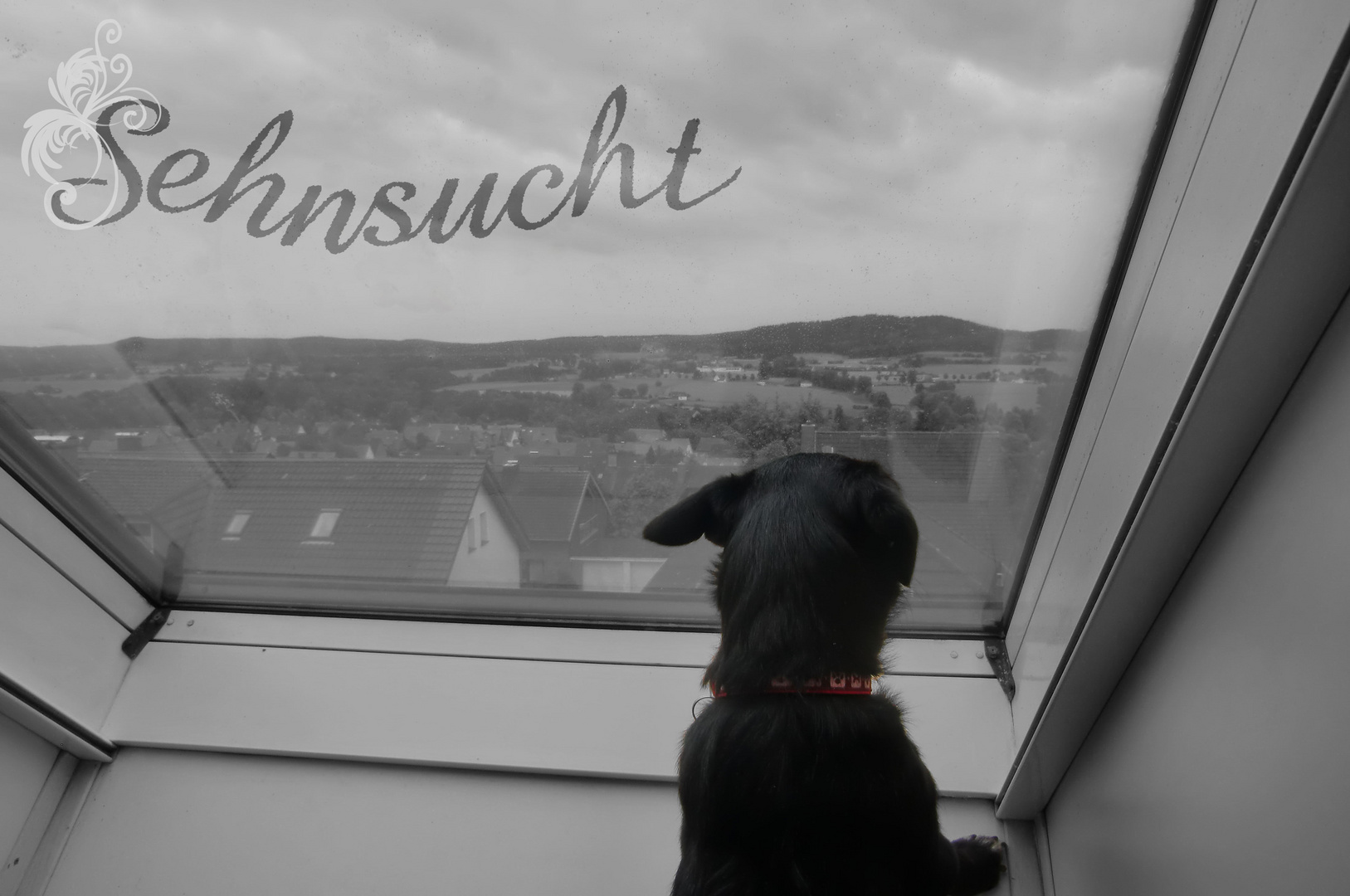 Sehnsucht