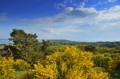 Sehnsucht Insel Hiddensee mit Inselblick 