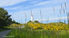 Sehnsucht Insel Hiddensee mit Inselblick 