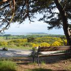 Sehnsucht Insel Hiddensee mit Inselblick 