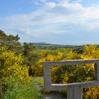 Sehnsucht Insel Hiddensee mit Inselblick 