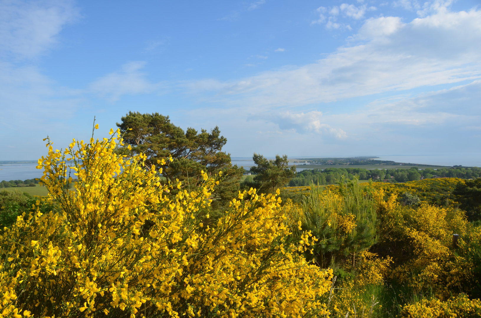 Sehnsucht Insel Hiddensee mit Inselblick 