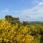 Sehnsucht Insel Hiddensee mit Inselblick 