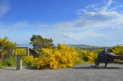 Sehnsucht Insel Hiddensee mit Inselblick 