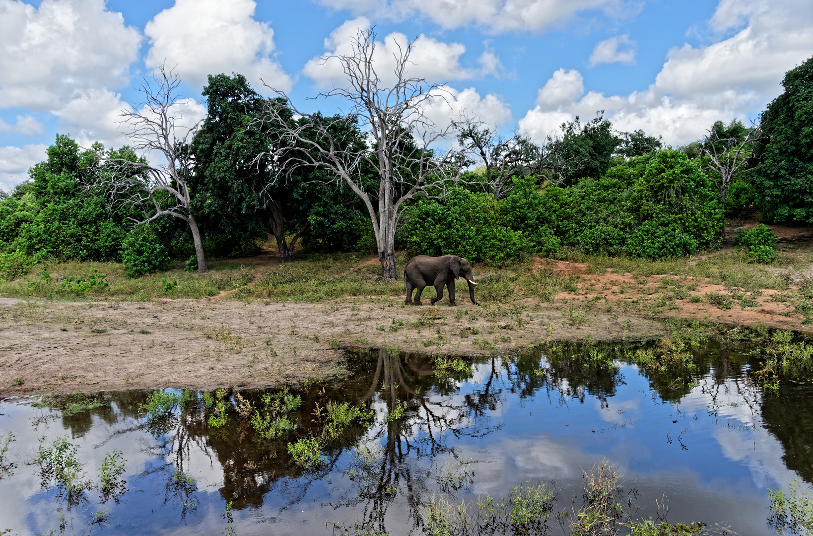 Sehnsucht nach Afrika