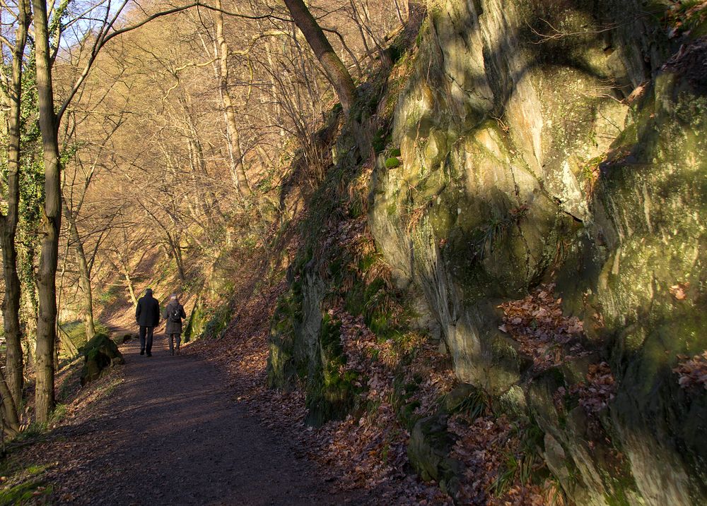 Sehnsucht nach dem Frühling