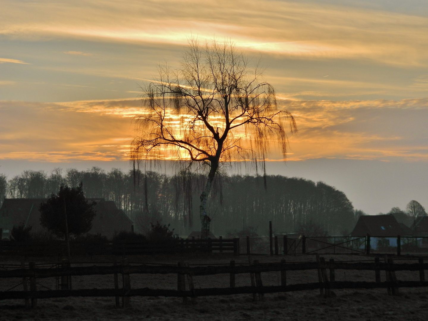 Sehnsucht nach dem Frühling