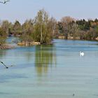 Sehnsucht nach dem Frühling