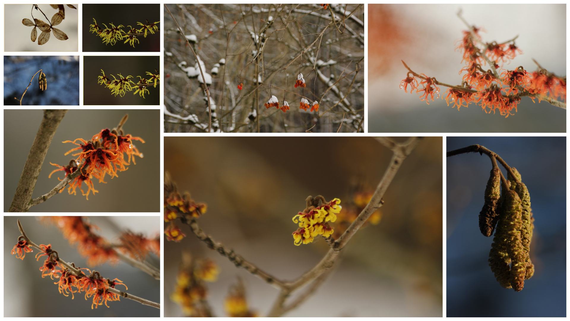 Sehnsucht nach dem Frühling