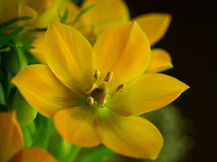 Sehnsucht nach dem Frühling