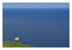 Sehnsucht nach dem grossen, weiten Meer