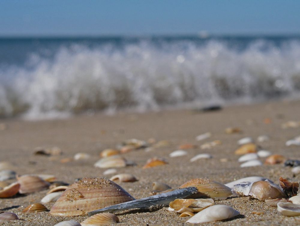 Sehnsucht nach dem Meer