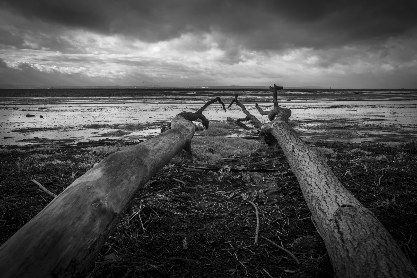 Sehnsucht nach dem Meer