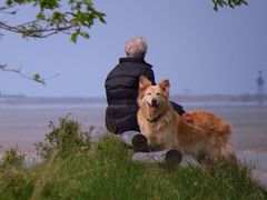 Sehnsucht nach dem Meer