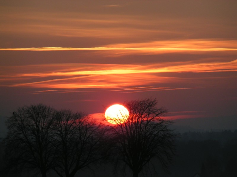 Sehnsucht nach dem Sommer