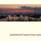 Sehnsucht nach dem Sommer