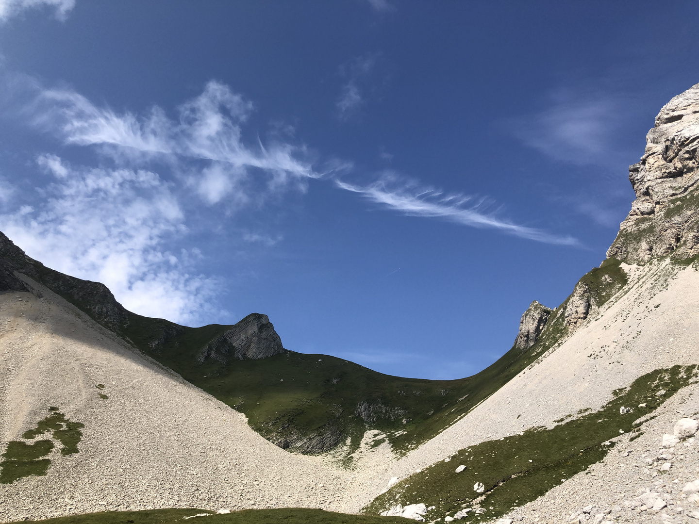 Sehnsucht nach dem Sommer