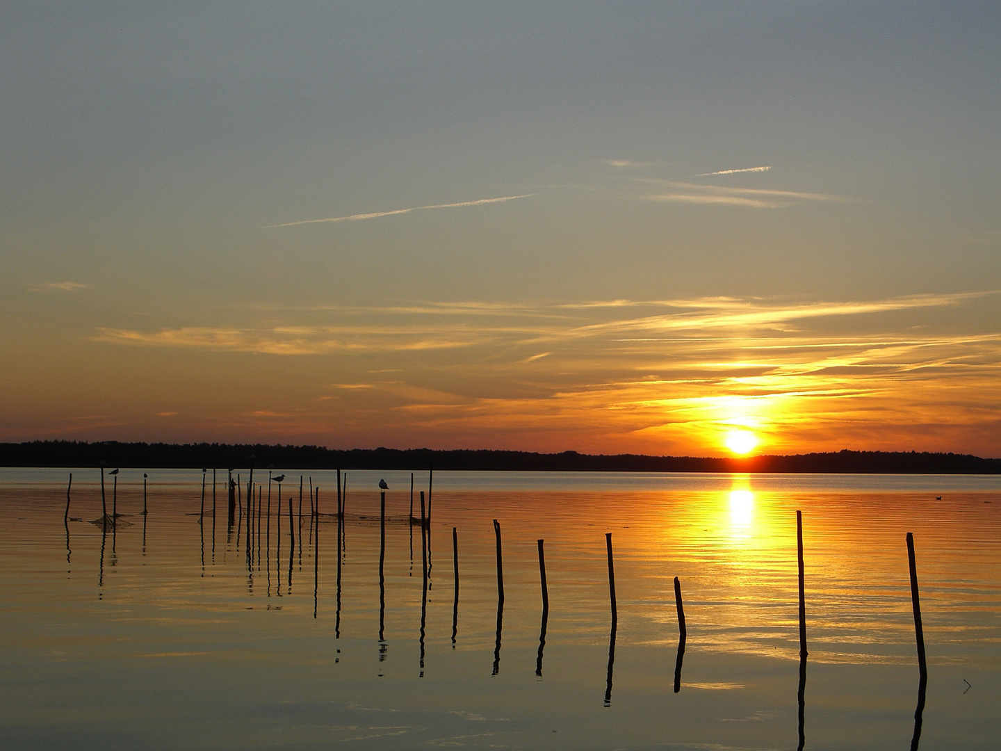 Sehnsucht nach dem warmen Sommer