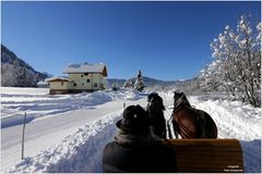 Sehnsucht nach dem Winter