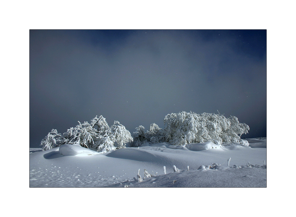 Sehnsucht nach dem Winter