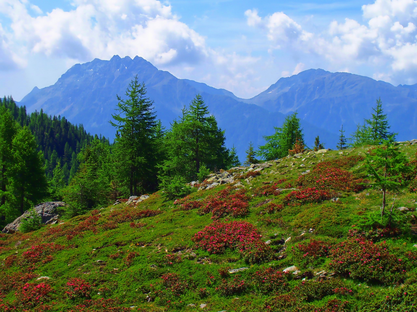 Sehnsucht nach den Bergen (2)