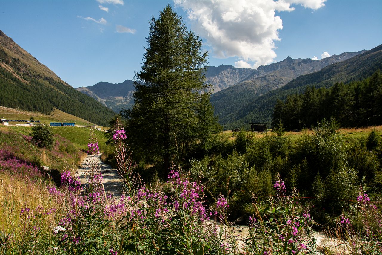 Sehnsucht nach den Bergen