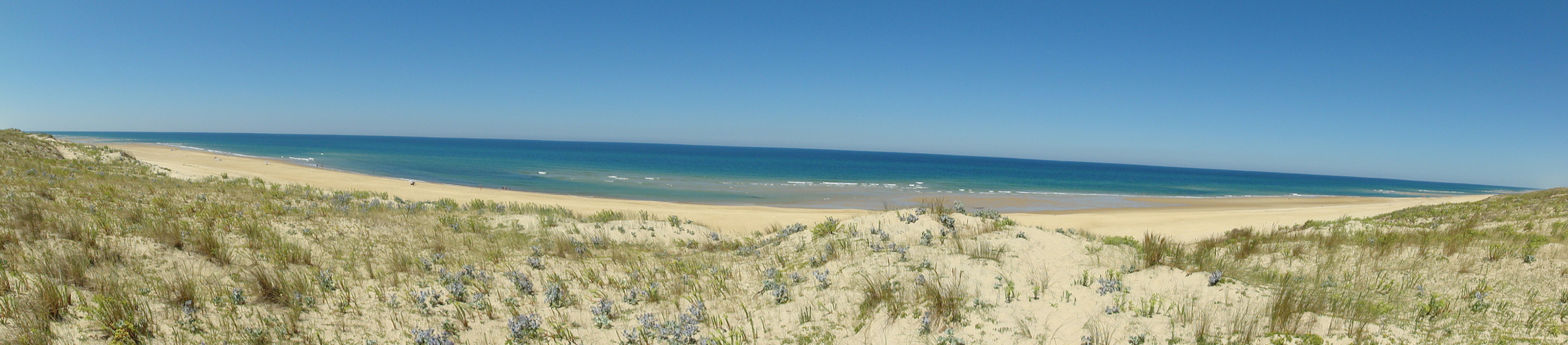 Sehnsucht nach der Cote Aquitaine