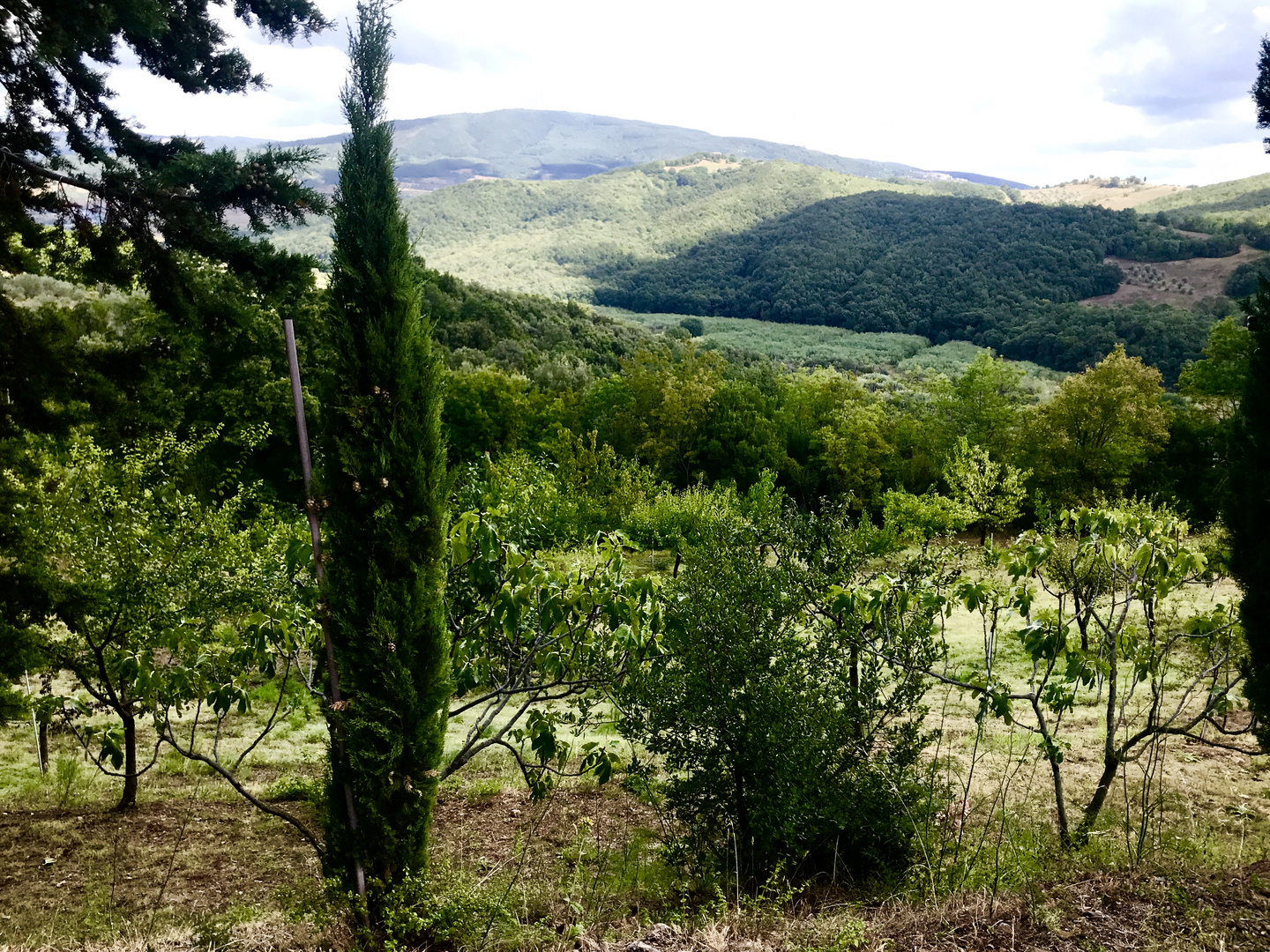 Sehnsucht nach der Natur , dem weiten Land