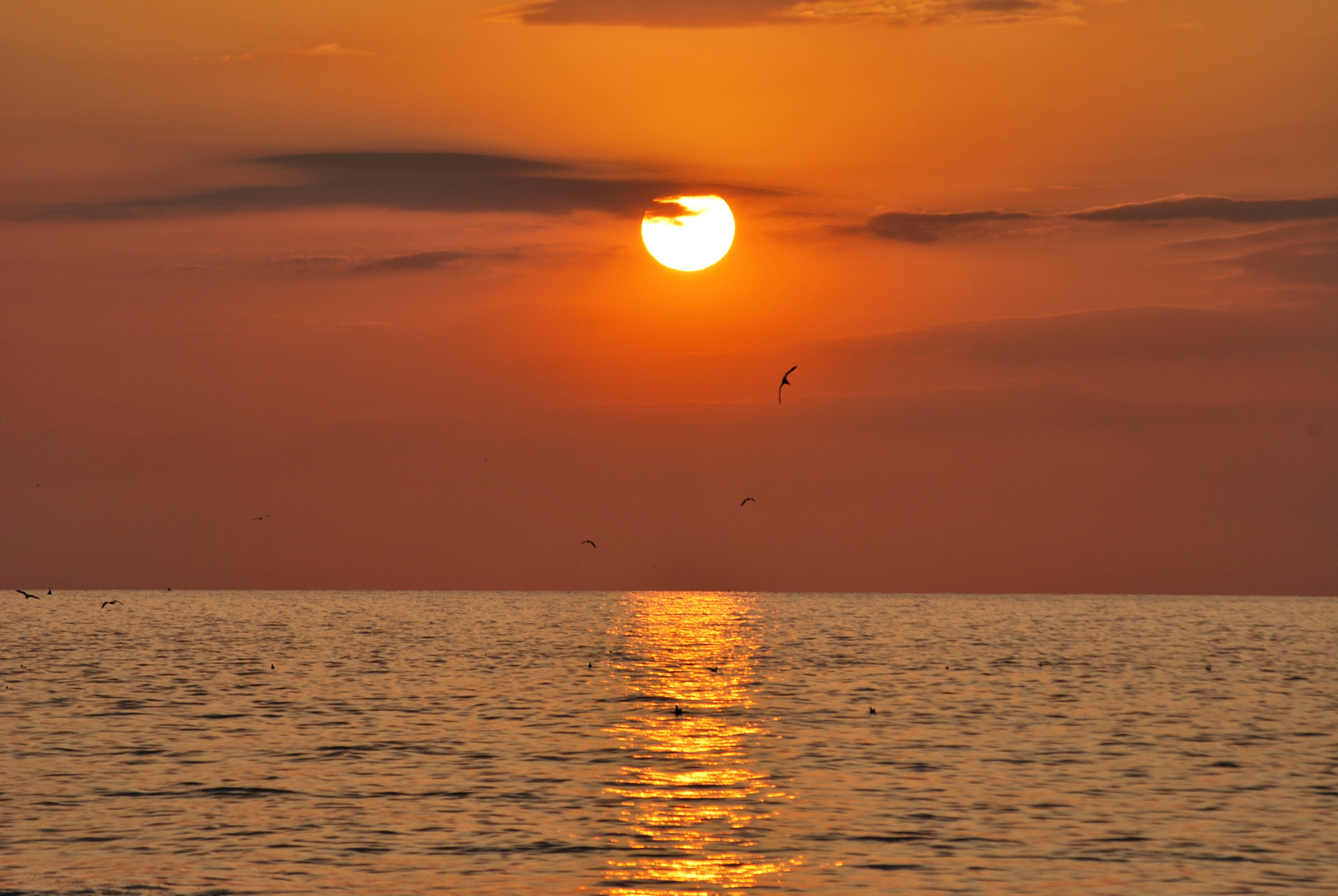 Sehnsucht nach  der Sonne  Foto Bild sonnenunterg nge 