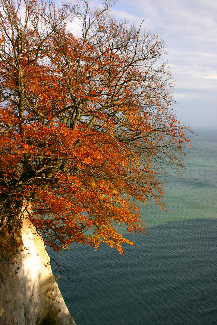 Sehnsucht nach Farbe...