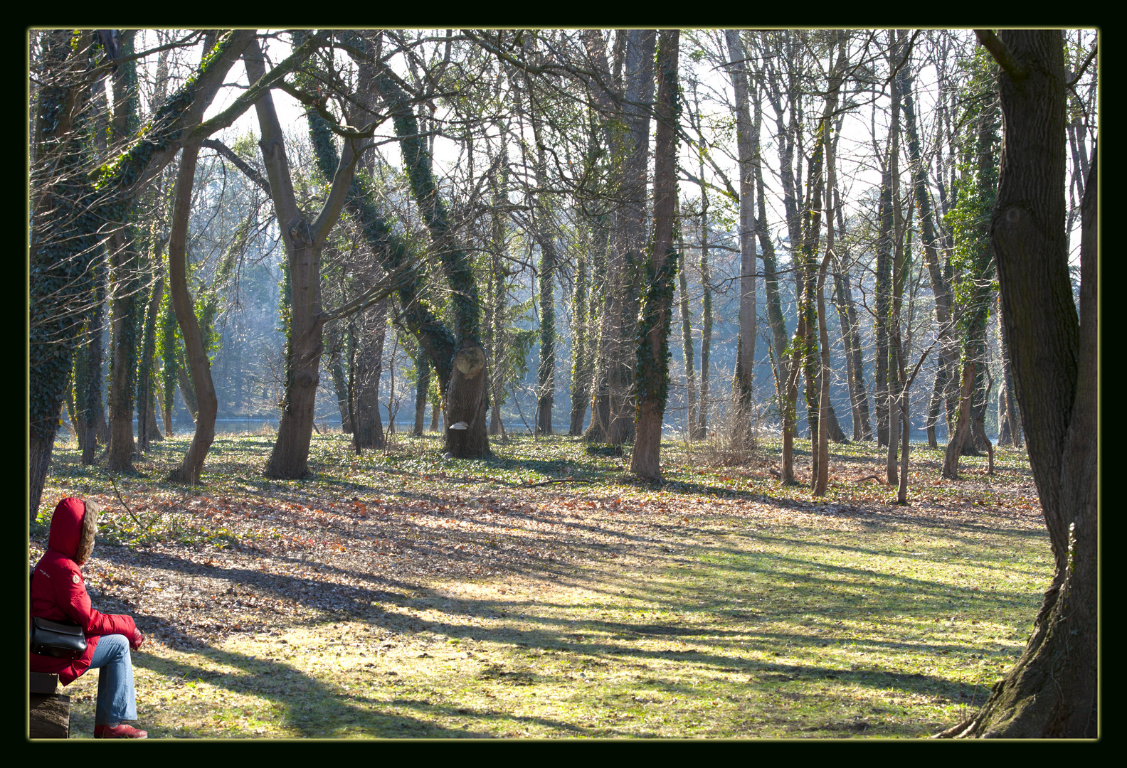 Sehnsucht nach Frühling