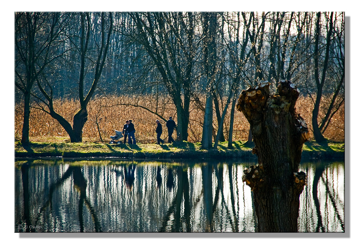 sehnsucht nach frühling