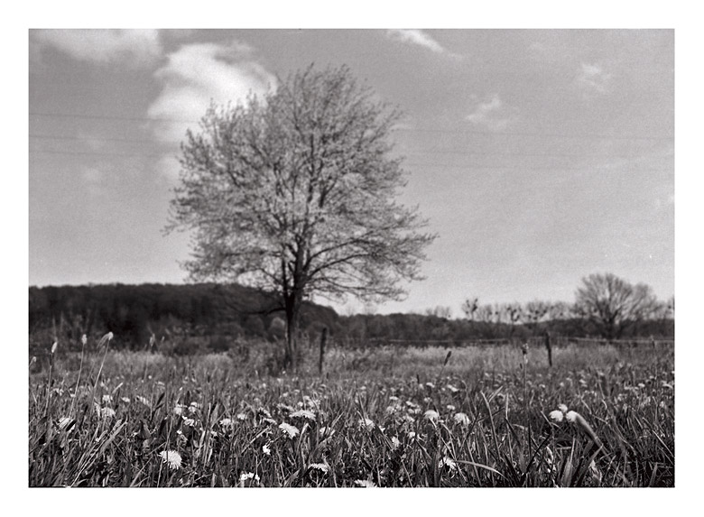 Sehnsucht nach Frühling