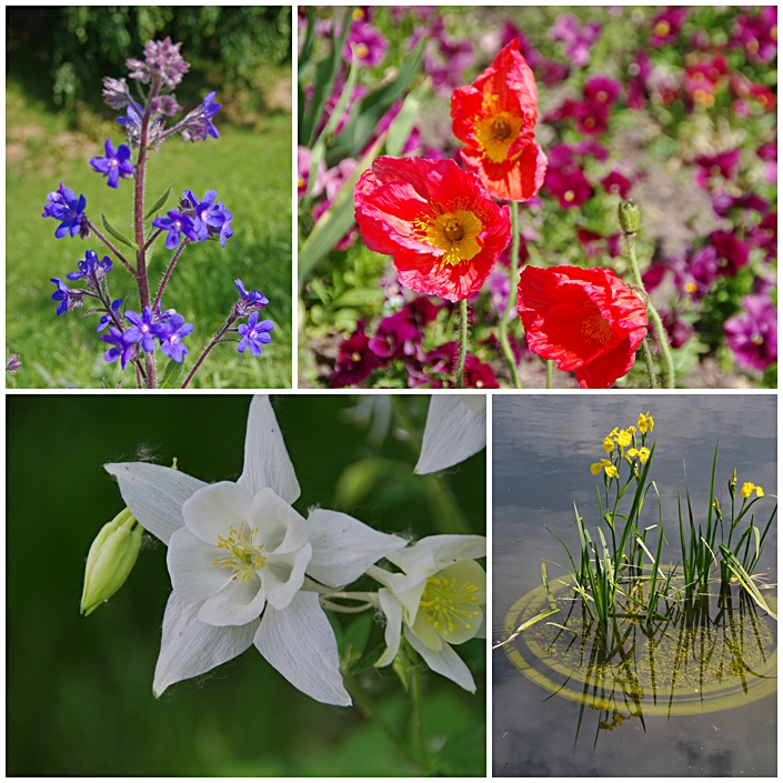 Sehnsucht nach Frühling