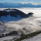 SEHNSUCHT NACH FRÜHLING