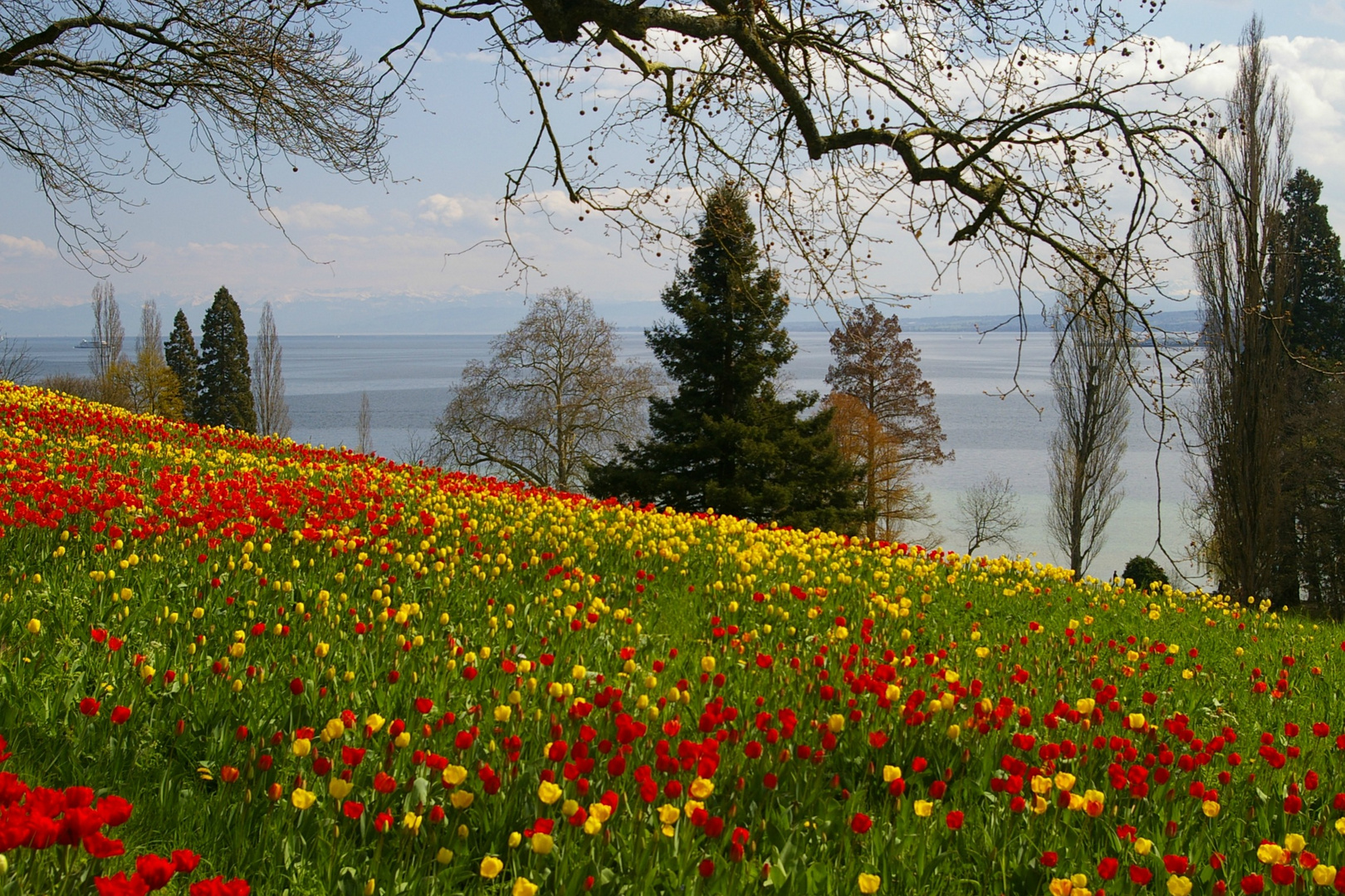 Sehnsucht nach Frühling / II