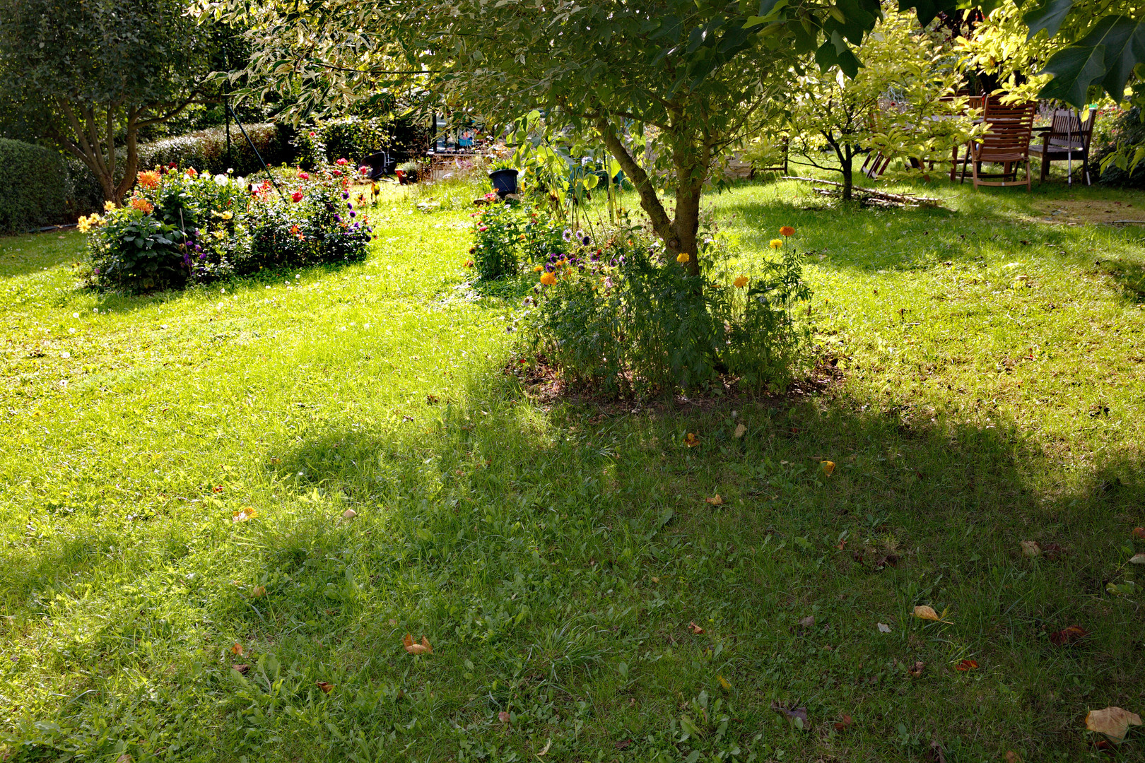 Sehnsucht nach Garten, Blumen, Farben, Entspannung Foto & Bild