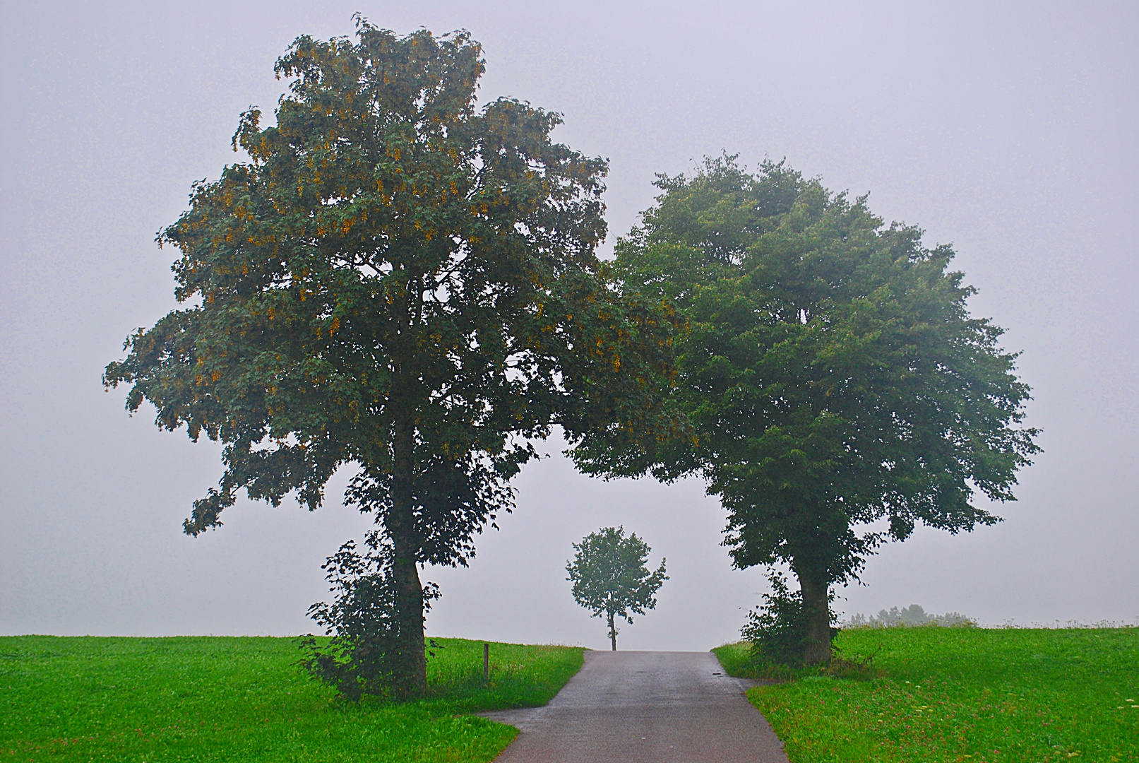 Sehnsucht nach Geborgenheit...