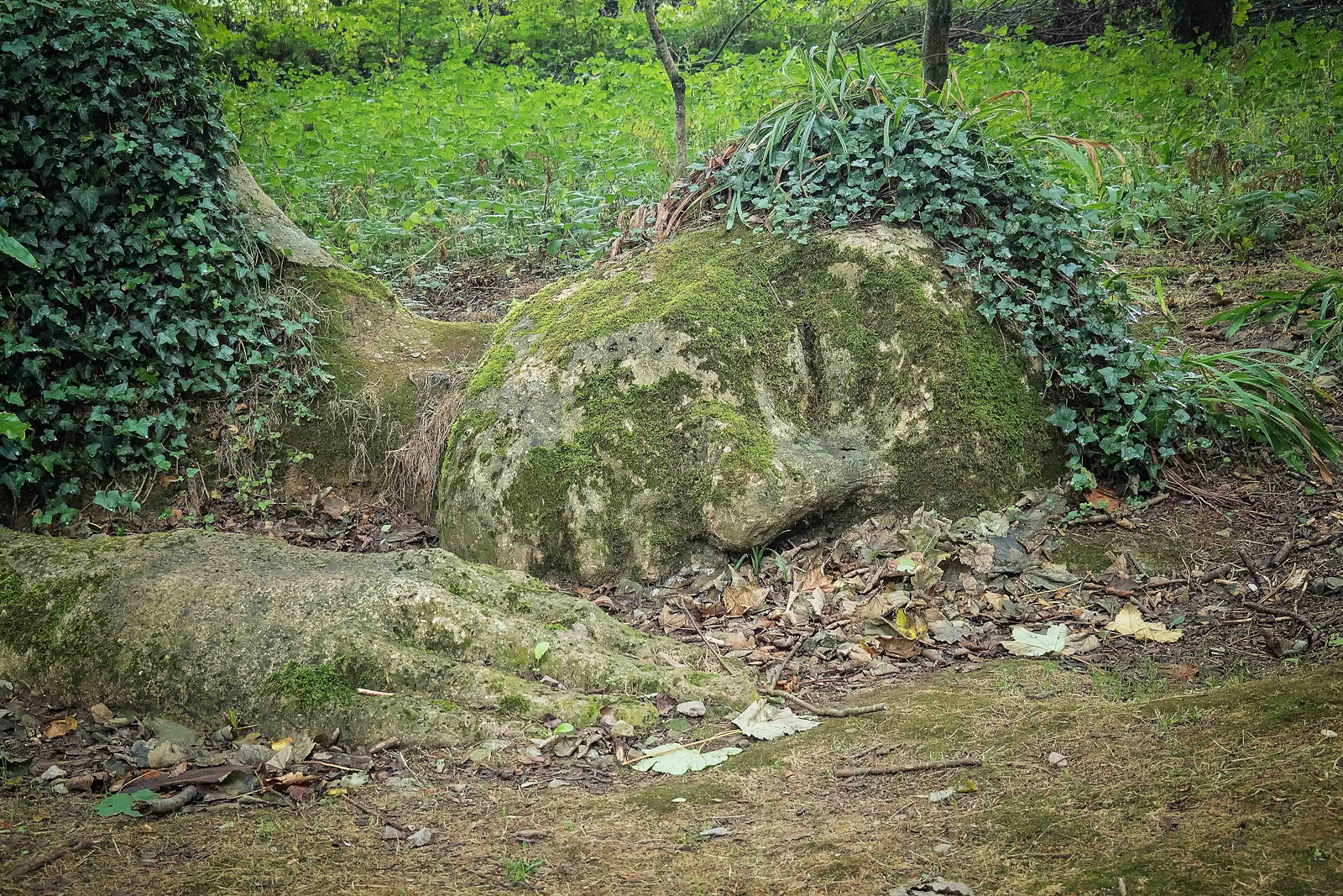 SEHNSUCHT NACH HELIGAN var