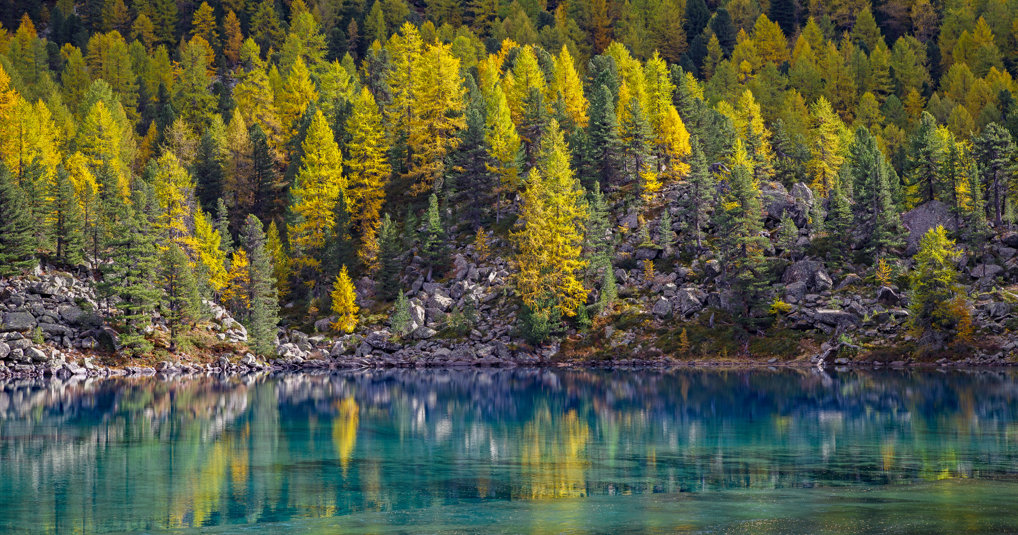 Sehnsucht nach Herbst 