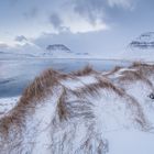 "... Sehnsucht nach Island kommt auf" KIRKJUFELL