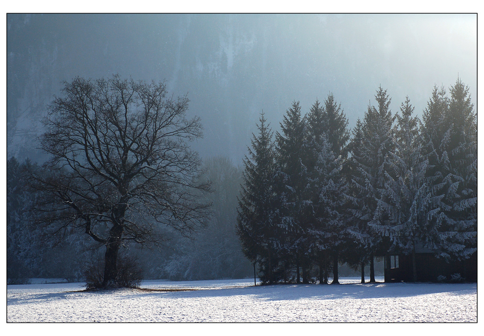 Sehnsucht nach Licht