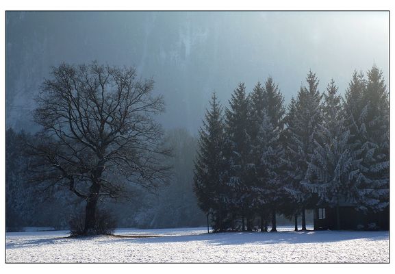 Sehnsucht nach Licht