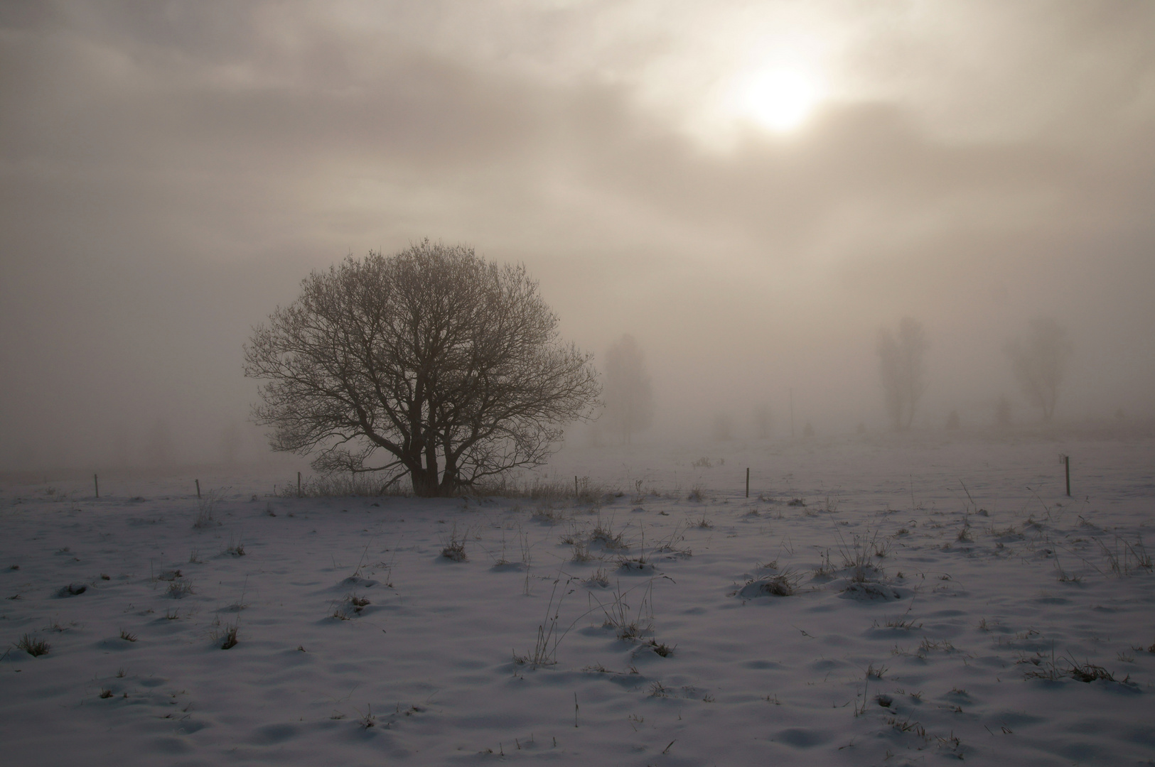 Sehnsucht nach Licht