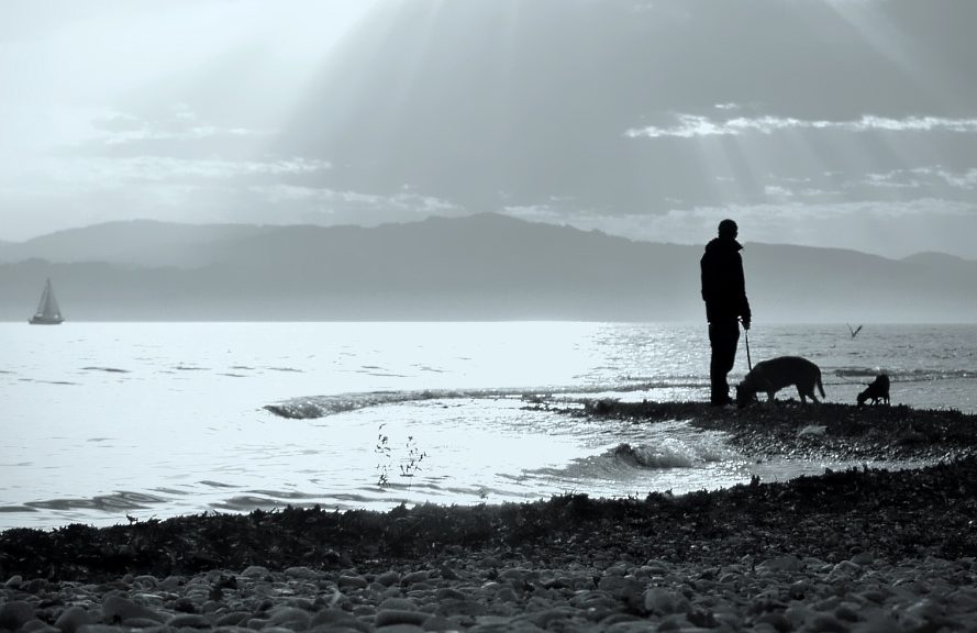 Sehnsucht nach Meer