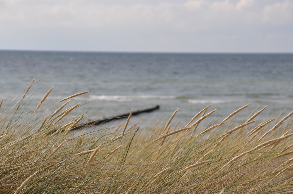 Sehnsucht nach Meer