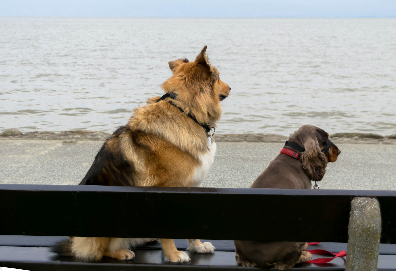 Sehnsucht nach Meer